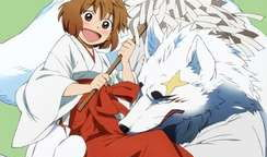 银狐动漫,奇幻世界中的银色传奇